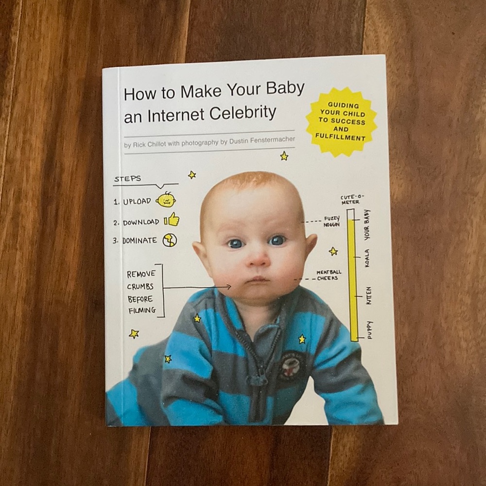 How to Make Your Baby an Internet Celebrity Book